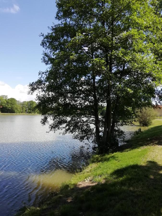 Au Clos De L'Etang Ravel エクステリア 写真